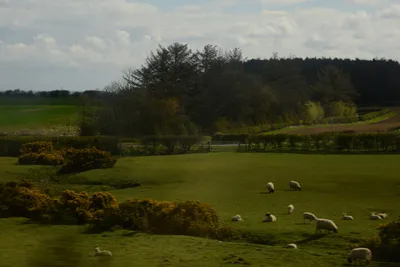 DSC_7217 (Large).JPG